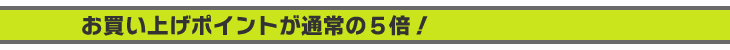お買い上げポイントが通常の5倍!